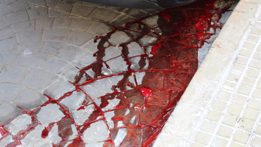 Stream of blood runs down a gutter near a mosque after bloody Eid al-Adha slaughter
